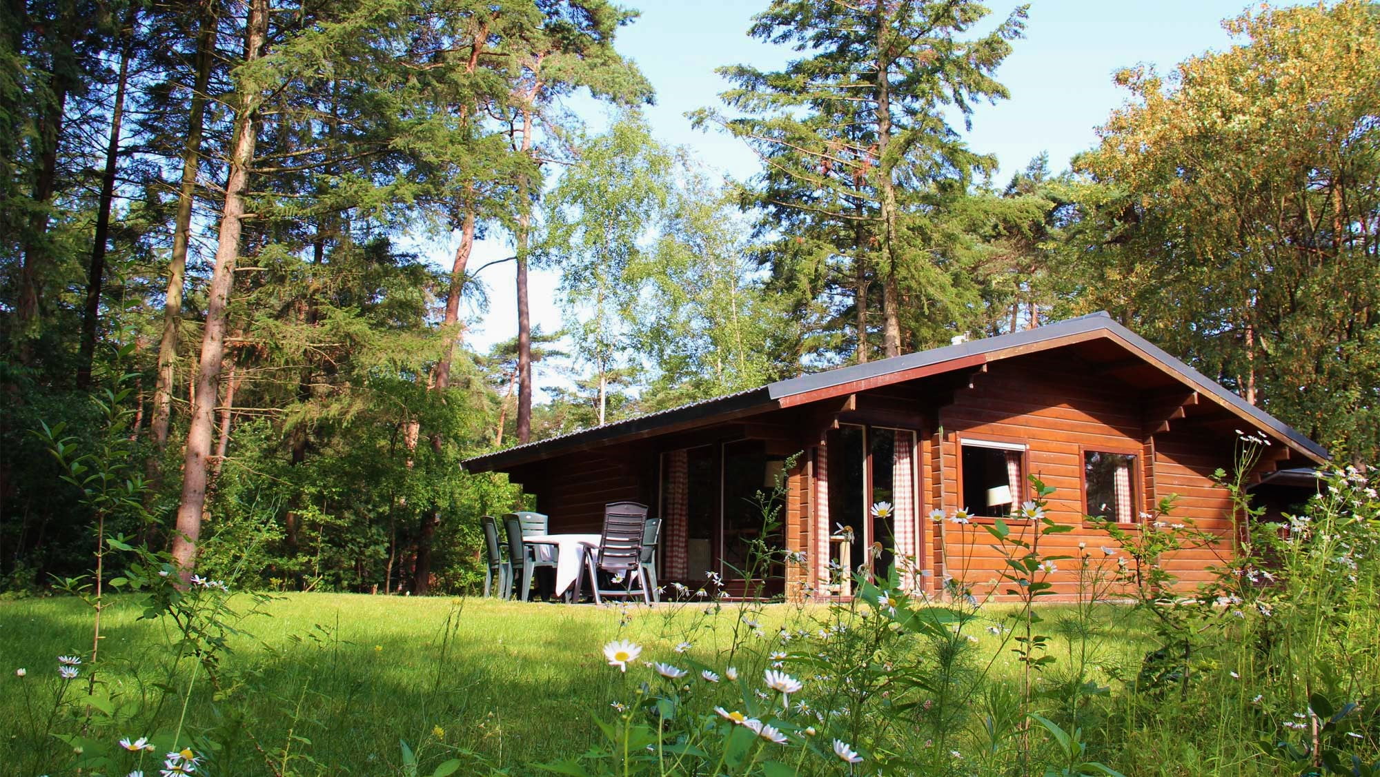 Bungalow Ginkelduin