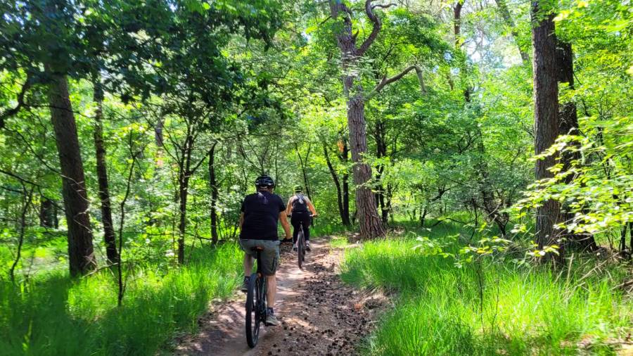 20220623_113547 (Groot 18x9) (Aangepast)