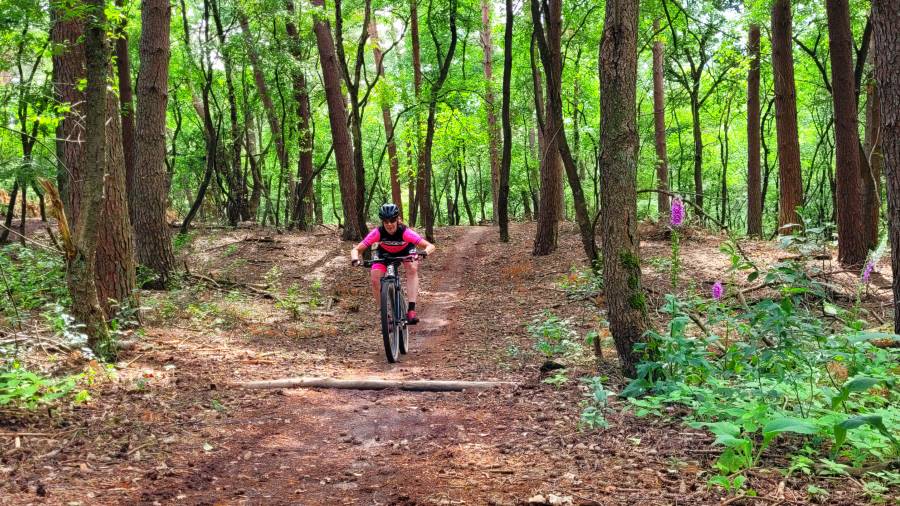 20220625_154517 (Aangepast)