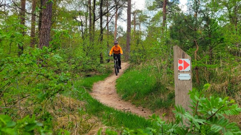 clinic bedrijven ht close (122) (16x9 800)